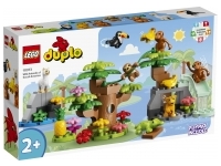 Sydamerikas vilda djur (Duplo)