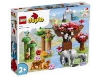 Asiens vilda djur (Duplo)