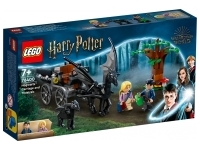Hogwarts Vagn och testraler