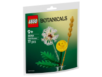 Ängsblommor
