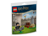 Quidditchlektion