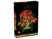 Bonsaiträd - Japansk lönn