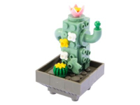 Nice Exotic Plants - Cactus (77)