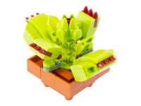 Nice Exotic Plants - Dionaea Muscipula (109)