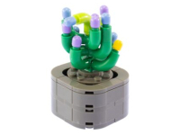 Nice Exotic Plants - Sanseveria Velvet (78)