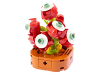 Nice Exotic Plants - Schlumbergera (117)