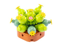 Nice Exotic Plants - Conophytum (97)