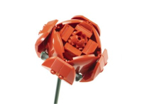 Nice Bouquet Fiorito - Rose (81)