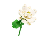 Nice Bouquet Fiorito - Jasmine (84)