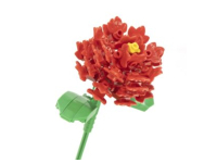 Nice Bouquet Fiorito - Carnation (83)