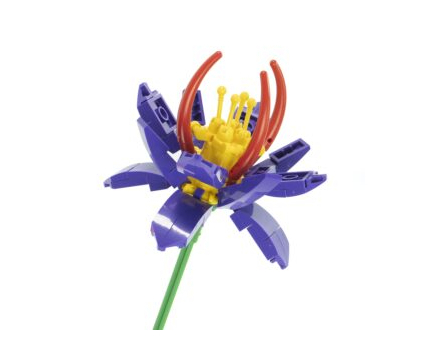 Klicka för större bild