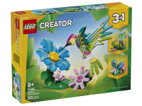 Vilda Djur - Färgglad Kolibri